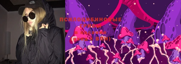 СК Бородино