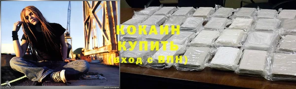 сатива Бронницы