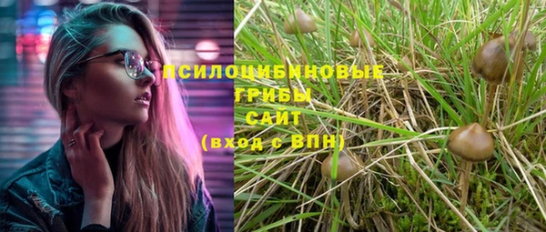 сатива Бронницы