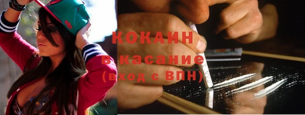 сатива Бронницы