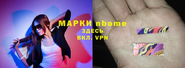 СК Бородино