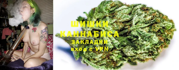 сатива Бронницы