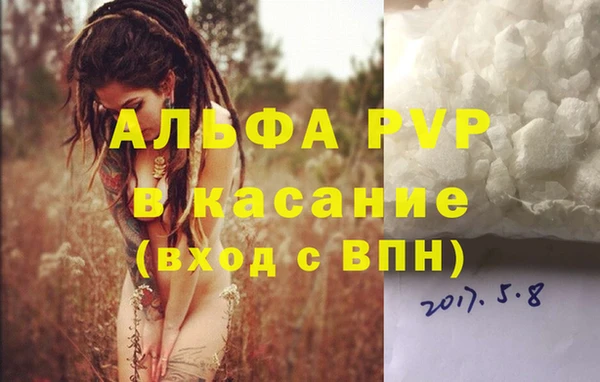 сатива Бронницы