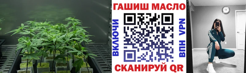 ТГК вейп с тгк  блэк спрут как зайти  Севастополь 