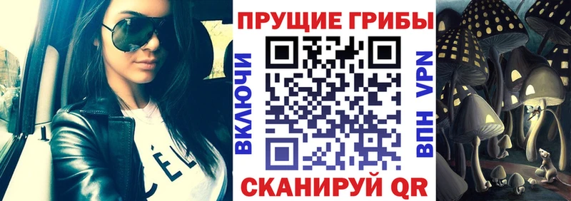 ОМГ ОМГ ТОР Севастополь Галлюциногенные грибы MAGIC MUSHROOMS